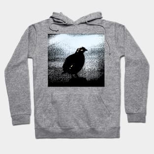 Dark Bird Hoodie